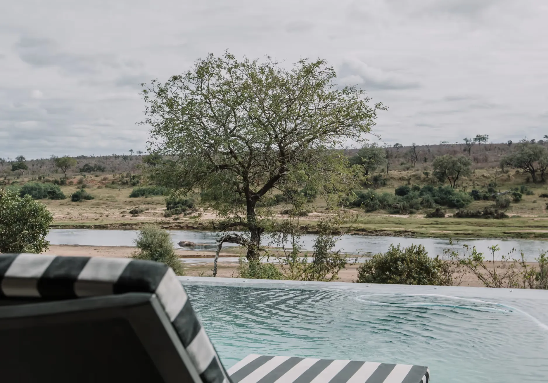 Luxury Villa rental in the Mjejane Game Reserve