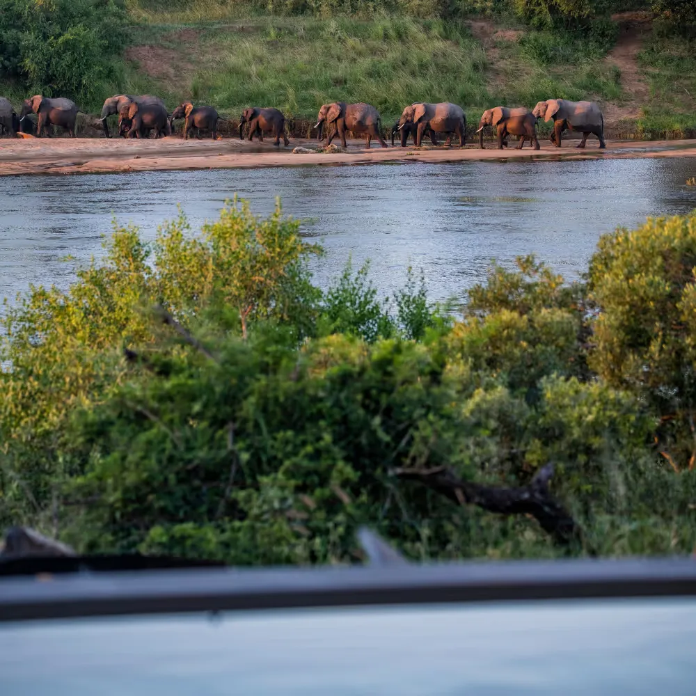 Outside area of a lodge in the Mjejane Game Reserve