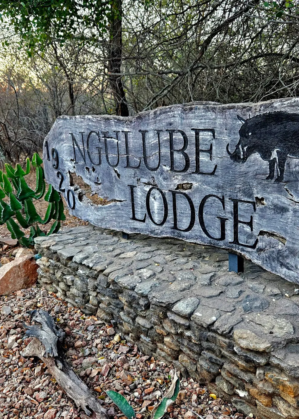 Book Mjejane Game Reserve Accommodation