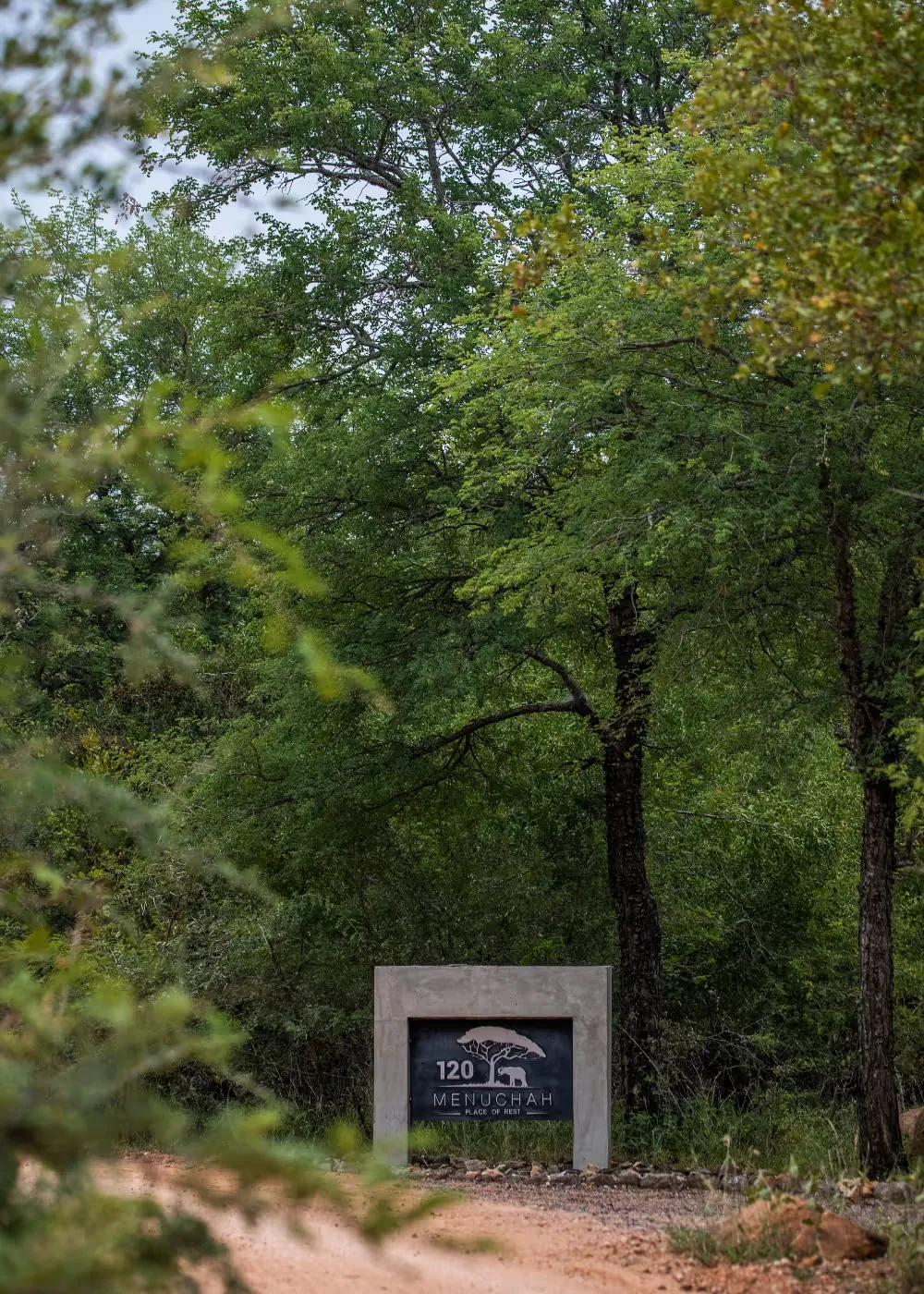 Book Mjejane Game Reserve Accommodation