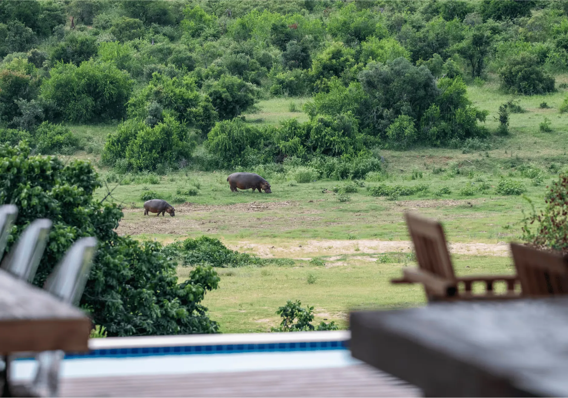 Horizons River Lodge – 4-bedroom self-catering lodge at Mjejane, bordering Kruger Park
