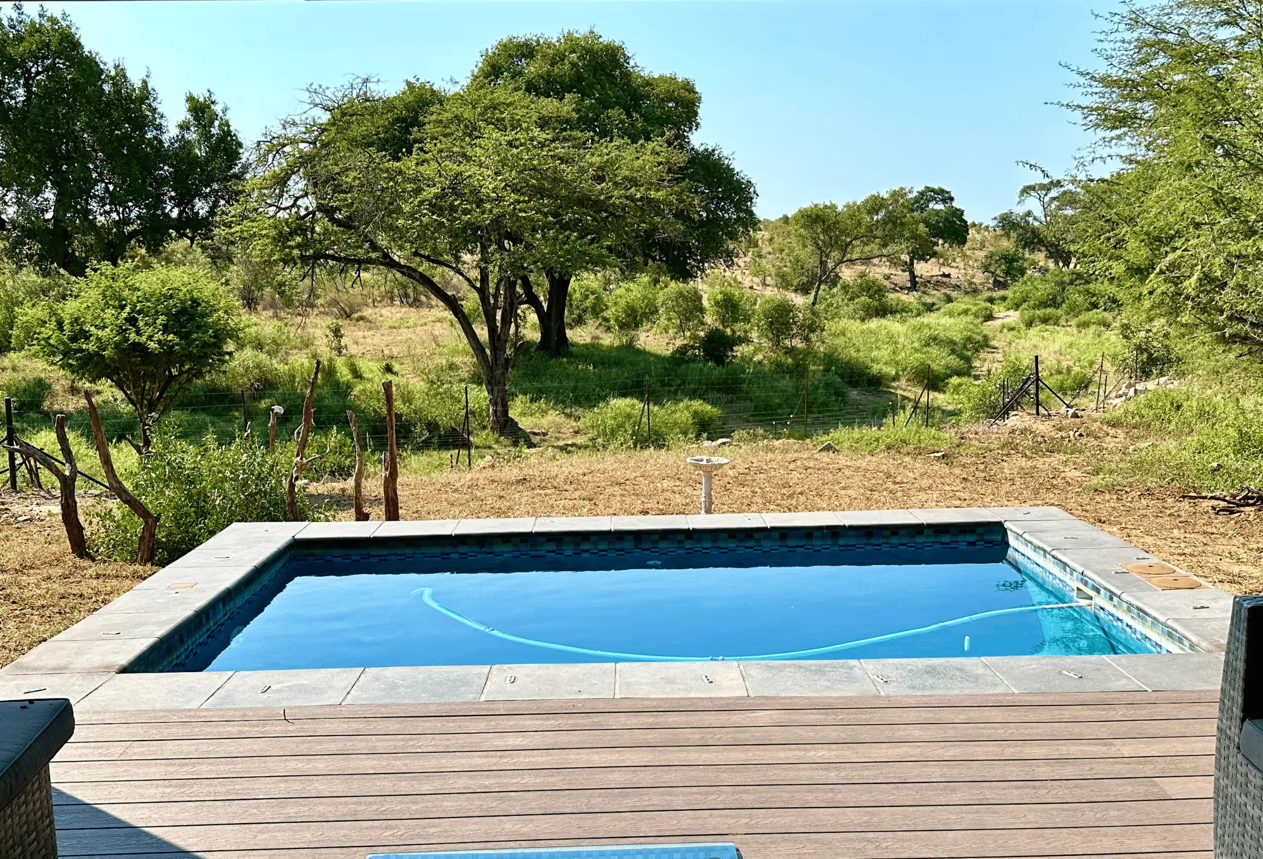 Swimming Pool with a view at Barn Owl Lodge in Mjejane