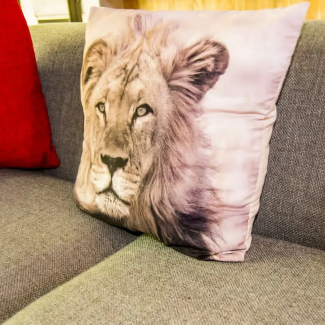 Inside area of a lodge in the Mjejane Game Reserve