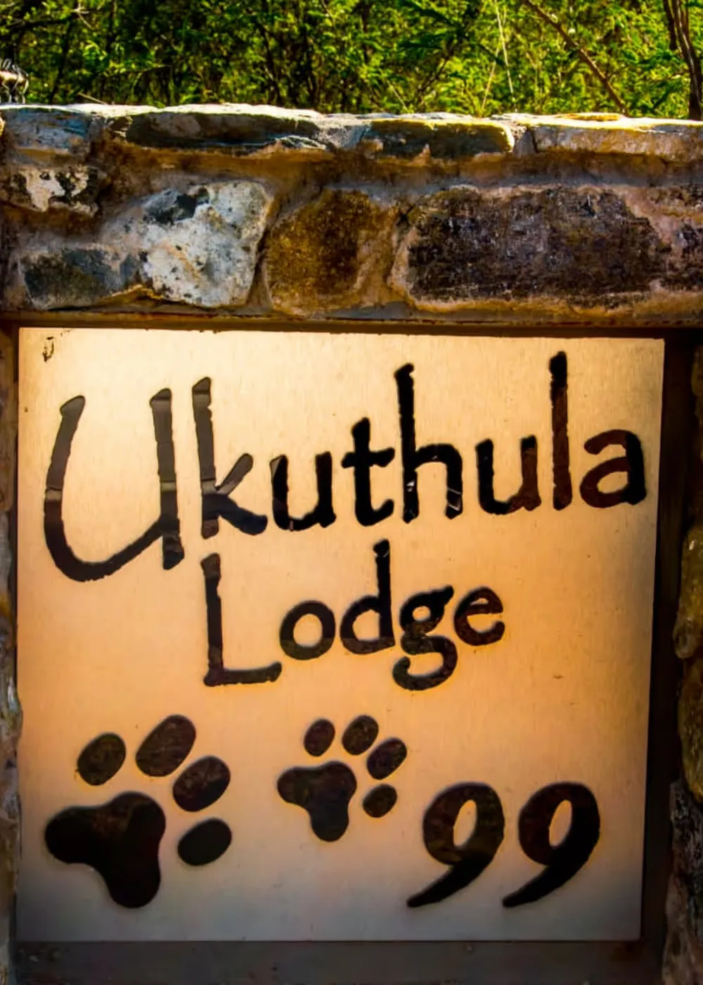 Book Mjejane Game Reserve Accommodation