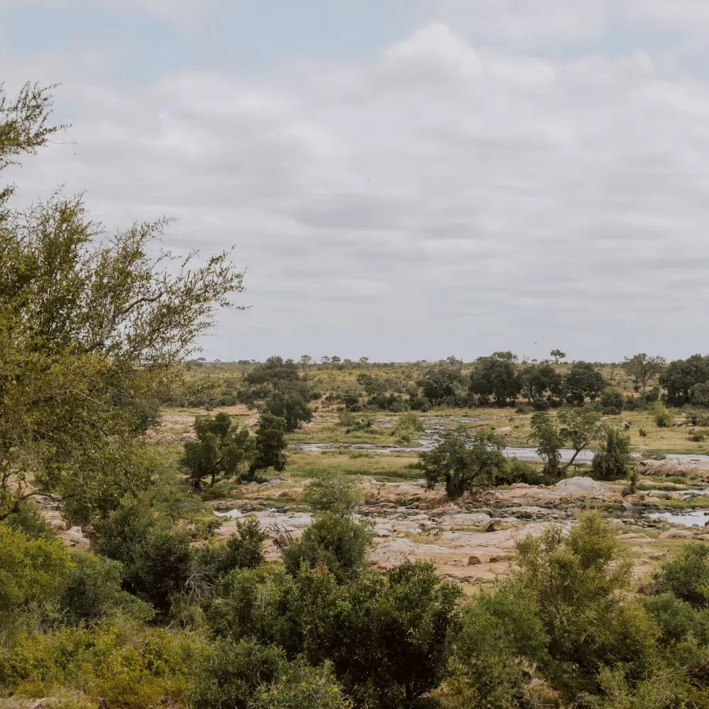 Outside area of a lodge in the Mjejane Game Reserve