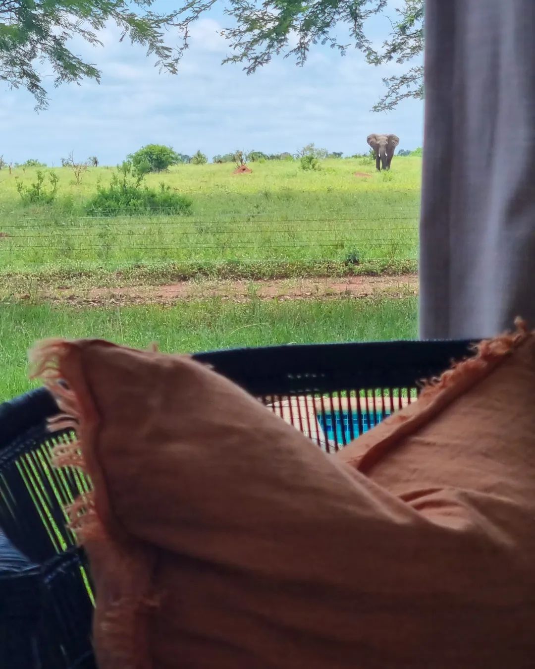 Book Mjejane Game Reserve Accommodation