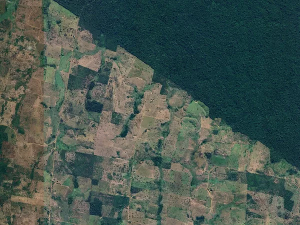 Forest boundary satellite view - MORFO Ri