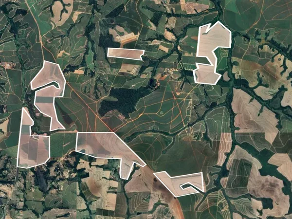 MORFO Ri - Portfolio management at scale