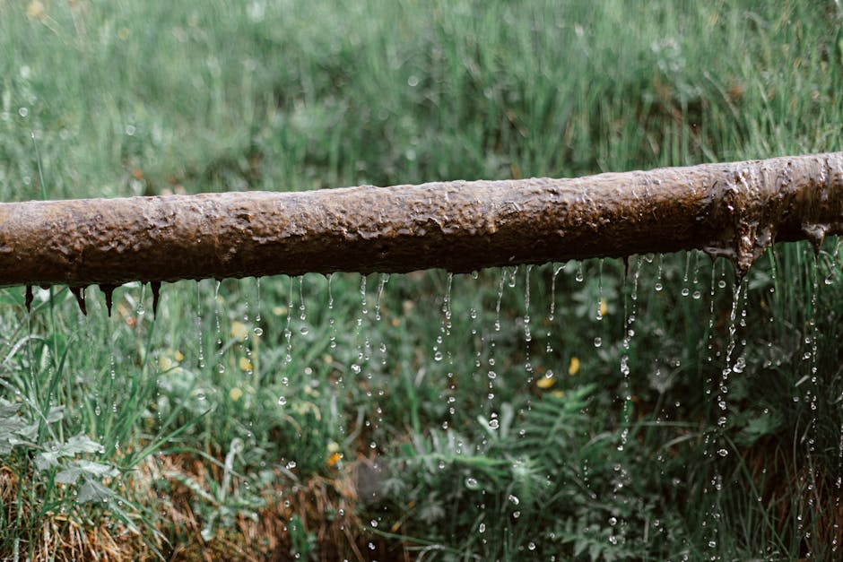 Don't Let Leaks Linger: Expert Tips for Bethel Park Leak Detection