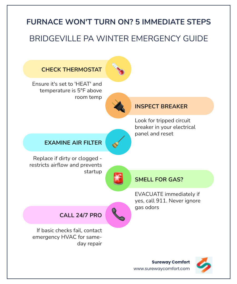 Infographic showing immediate steps when furnace won't turn on in Bridgeville PA winter emergency - "My furnace won't turn Infographic showing immediate steps when furnace won't turn on in Bridgeville PA winter emergency - "My furnace won't turn