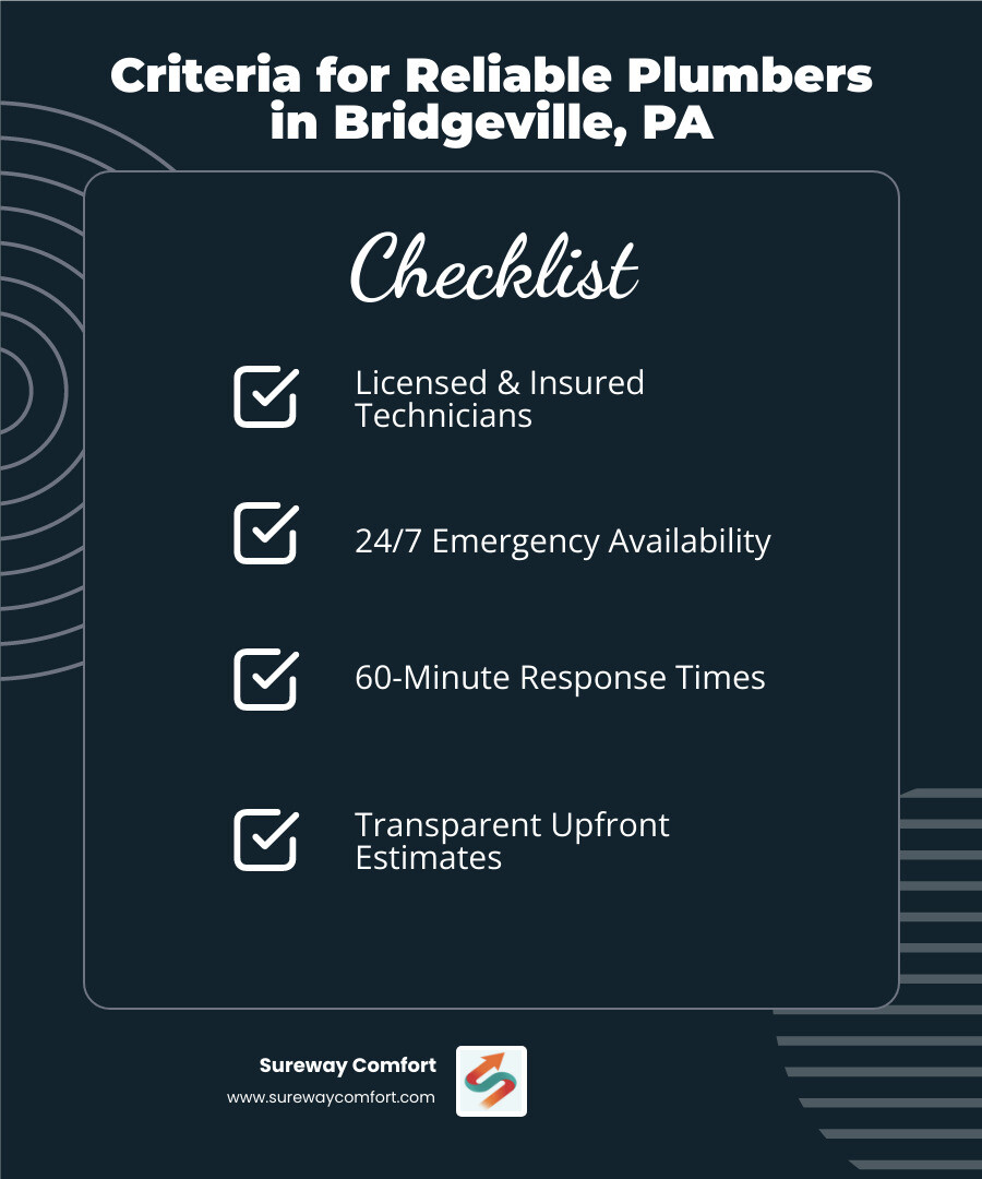 Infographic showing criteria for choosing the most experienced and reliable plumbers in Bridgeville PA infographic Infographic showing criteria for choosing the most experienced and reliable plumbers in Bridgeville PA infographic