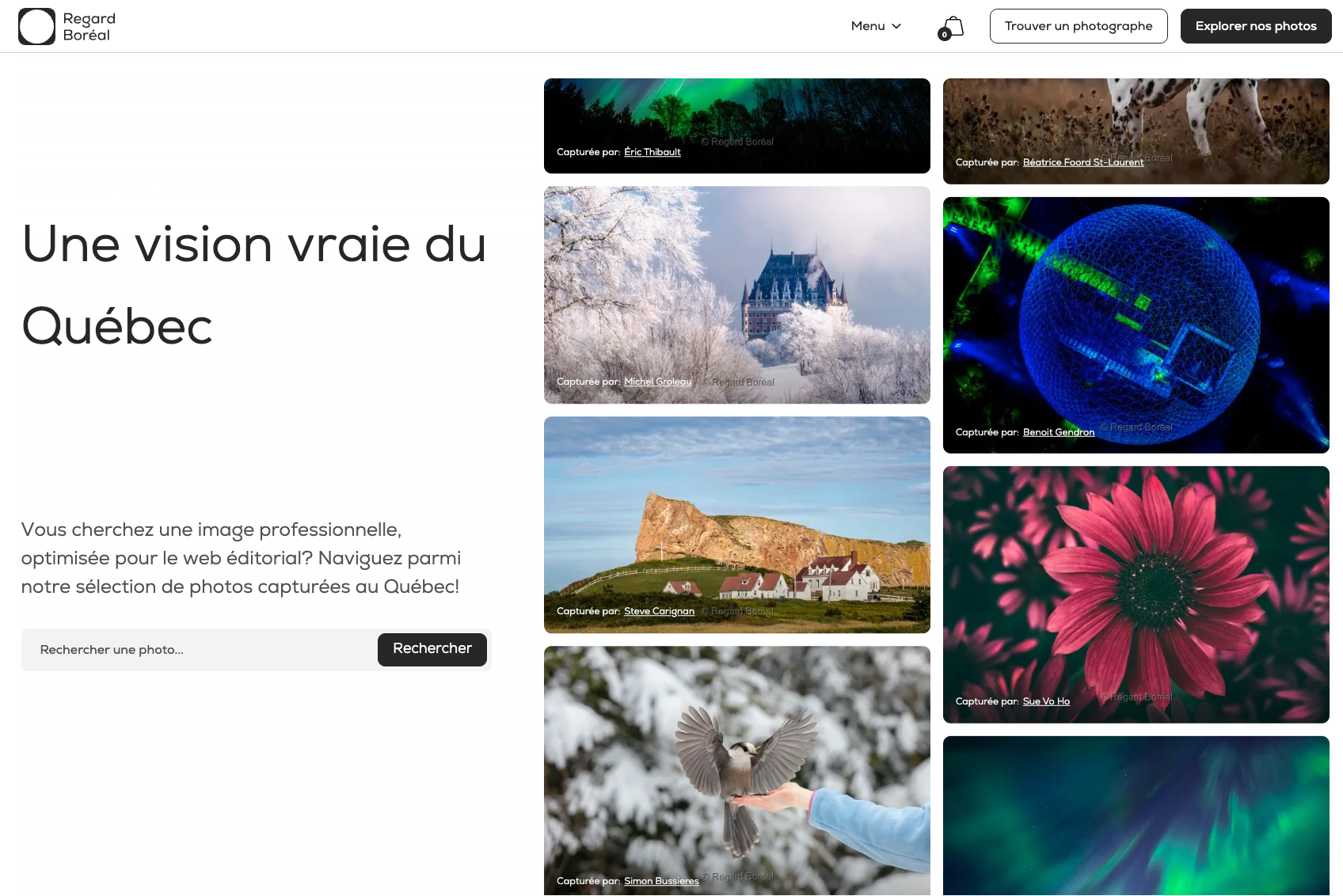 site profile thumbnail