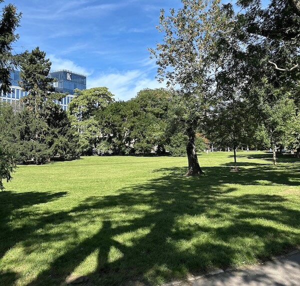 Praha 2: chytrá závlaha CleverGreen