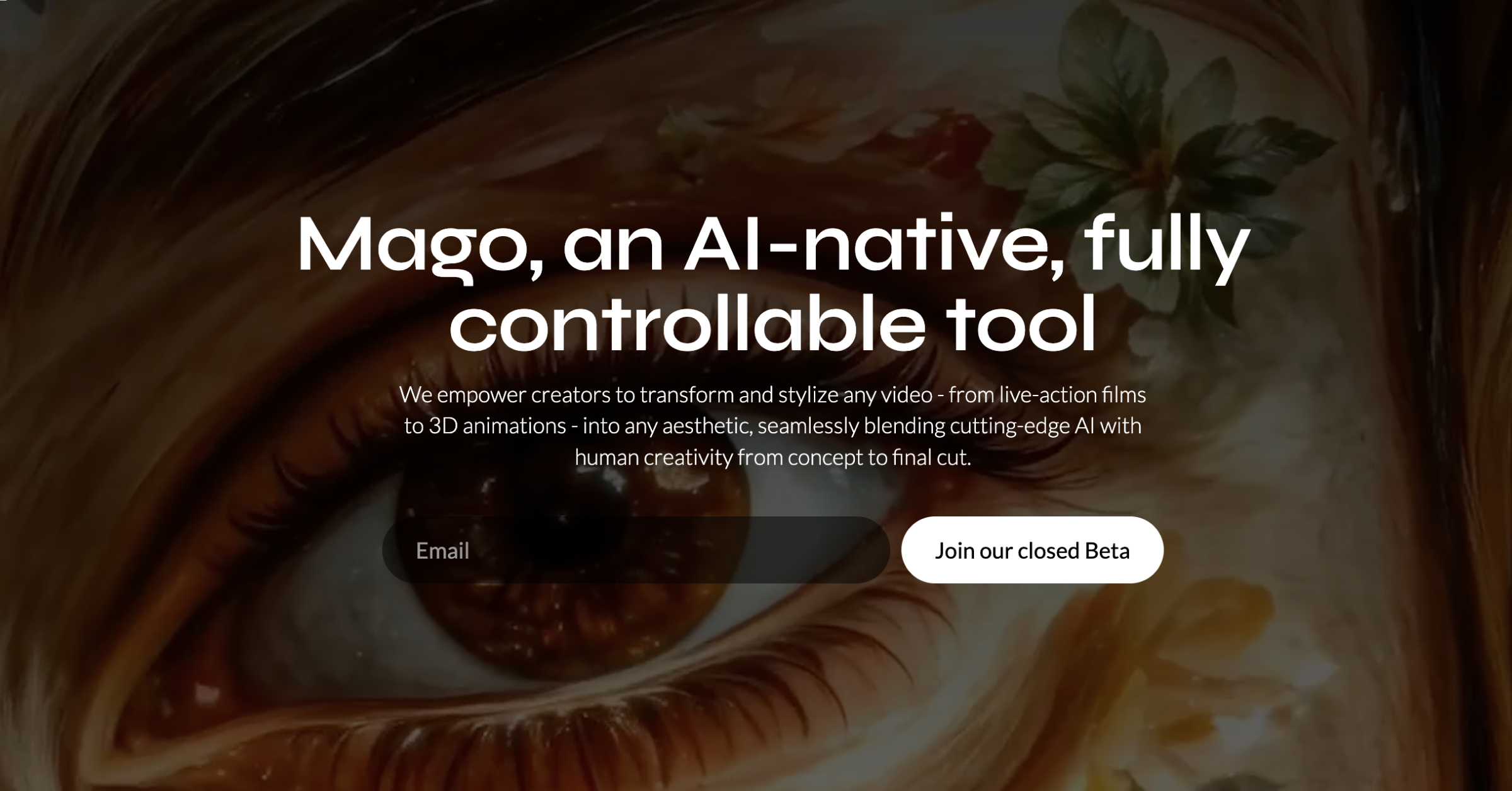 Blog | Mago