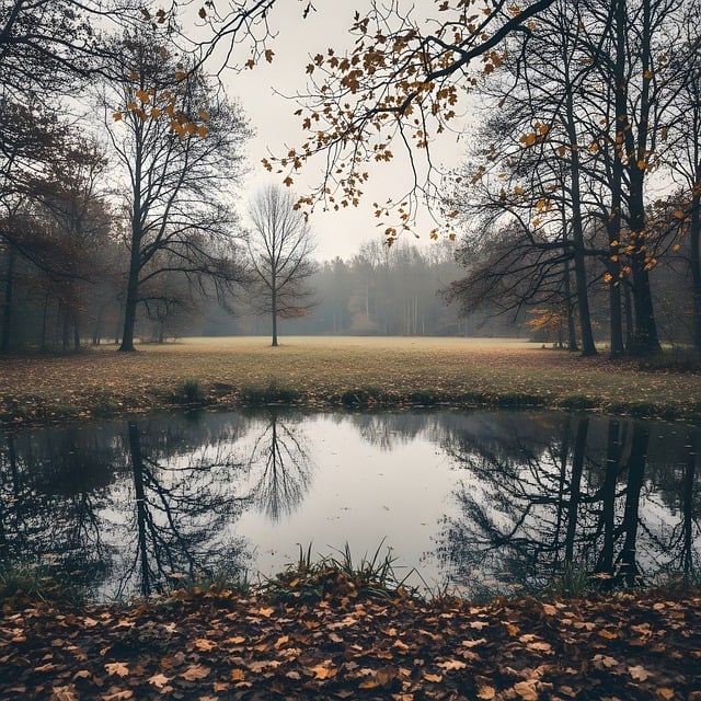  Manusanas Top 5 für kalte Tage 