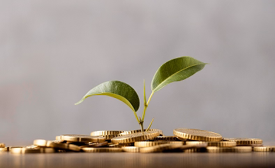 Small plant growing from stacked coins