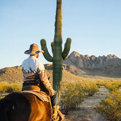 Hotel McCoy A City for Outdoor Lovers