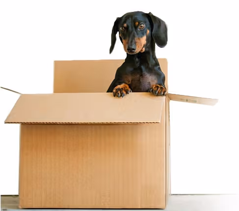 Die besten Tipps zur Auswahl der passenden Umzugsfirma