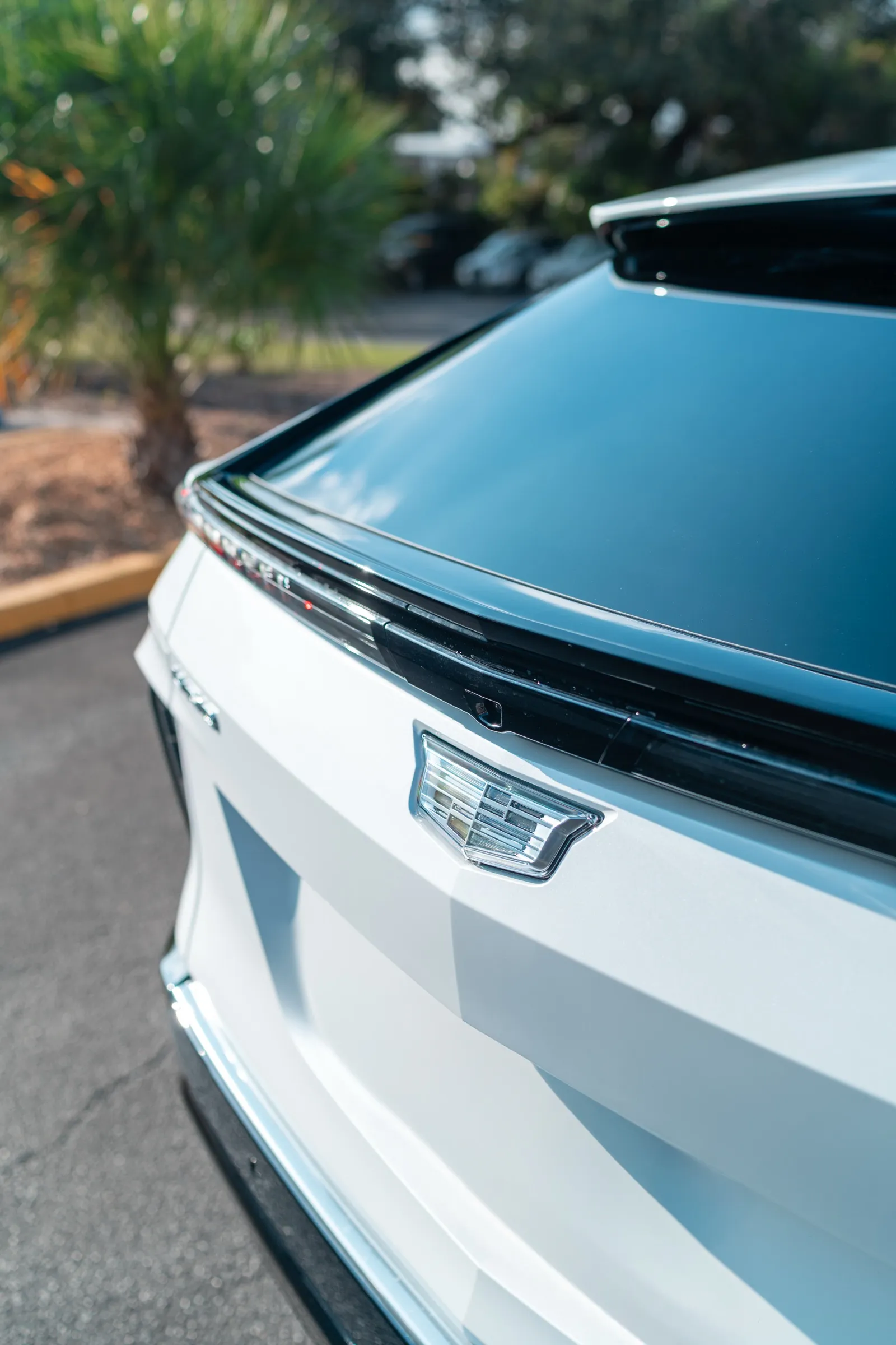Cadillac Lyriq ceramic coating, Fern Park FL