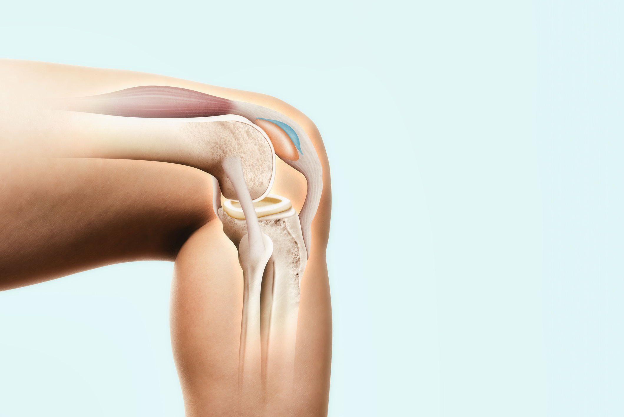 Knorpelaufbau Therapie für Knieschmerzen – spezialisierte Knorpelbehandlung im Orthopädicum Wien, Ihrem Knorpelzentrum in Wien.