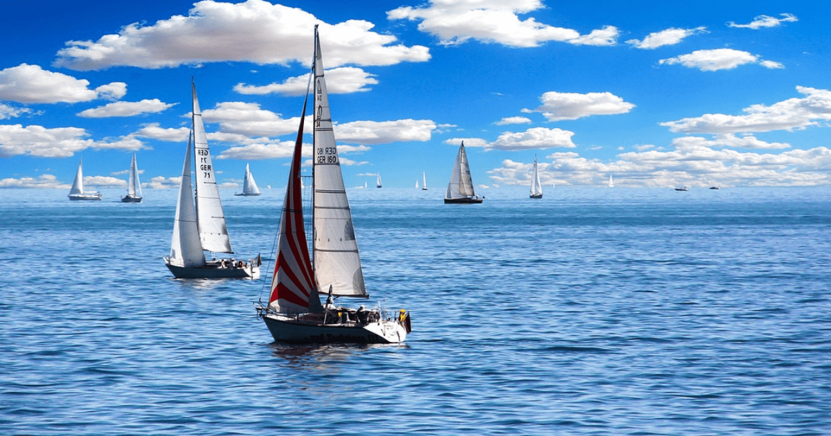 Colombus Day Regatta — adaptive water sports event at Shake-A-Leg Miami on Biscayne Bay