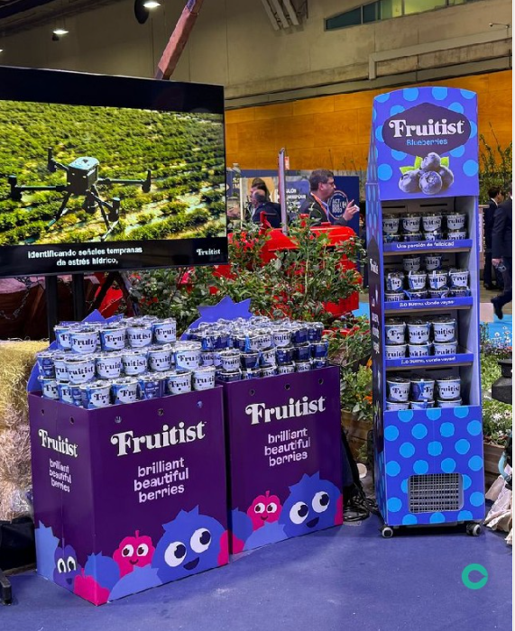 exhibidor personalizado