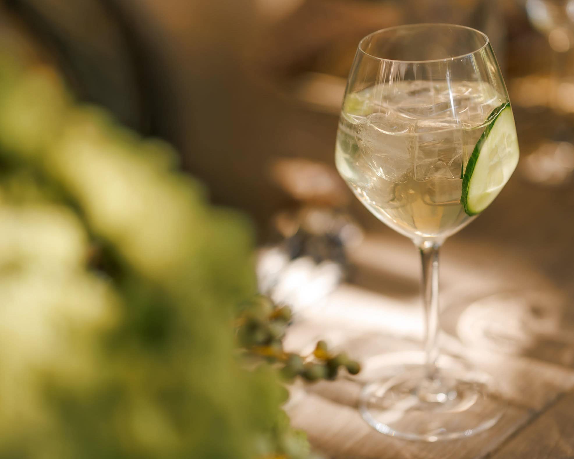 picnic food ideas with vodka