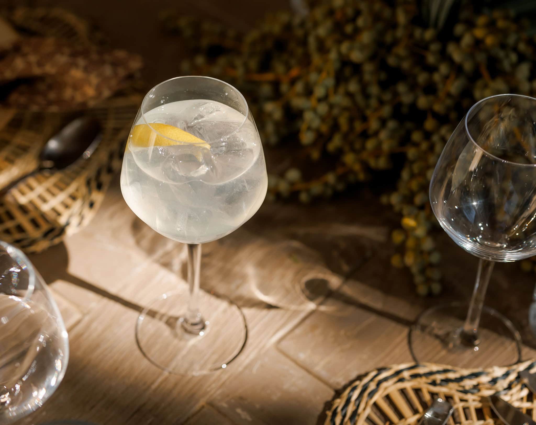 Citrus drinks with vodka