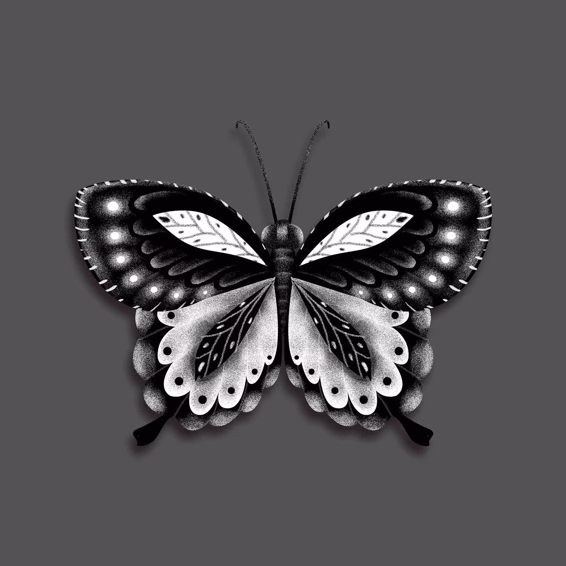 Butterfly graphic illustration in black and white.
