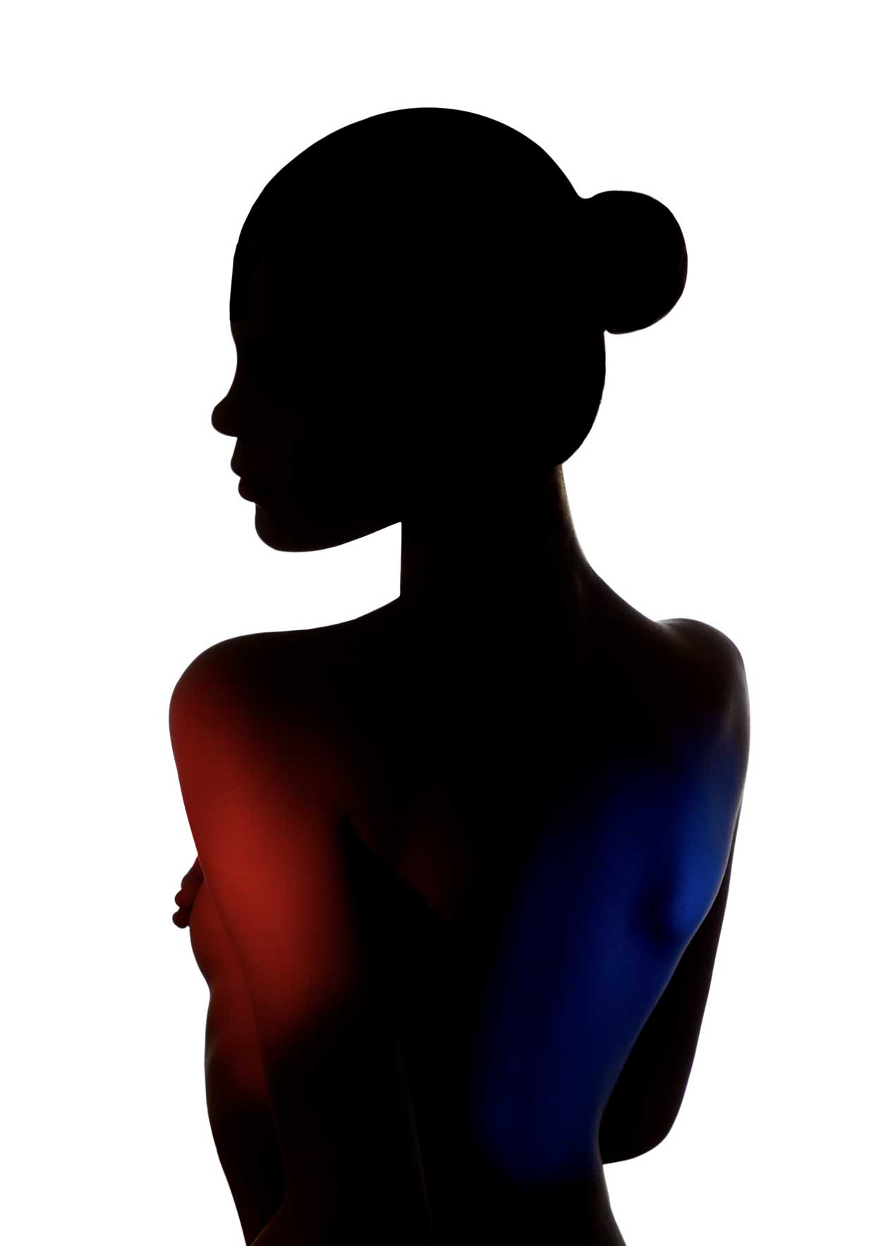 Contour of Elegance