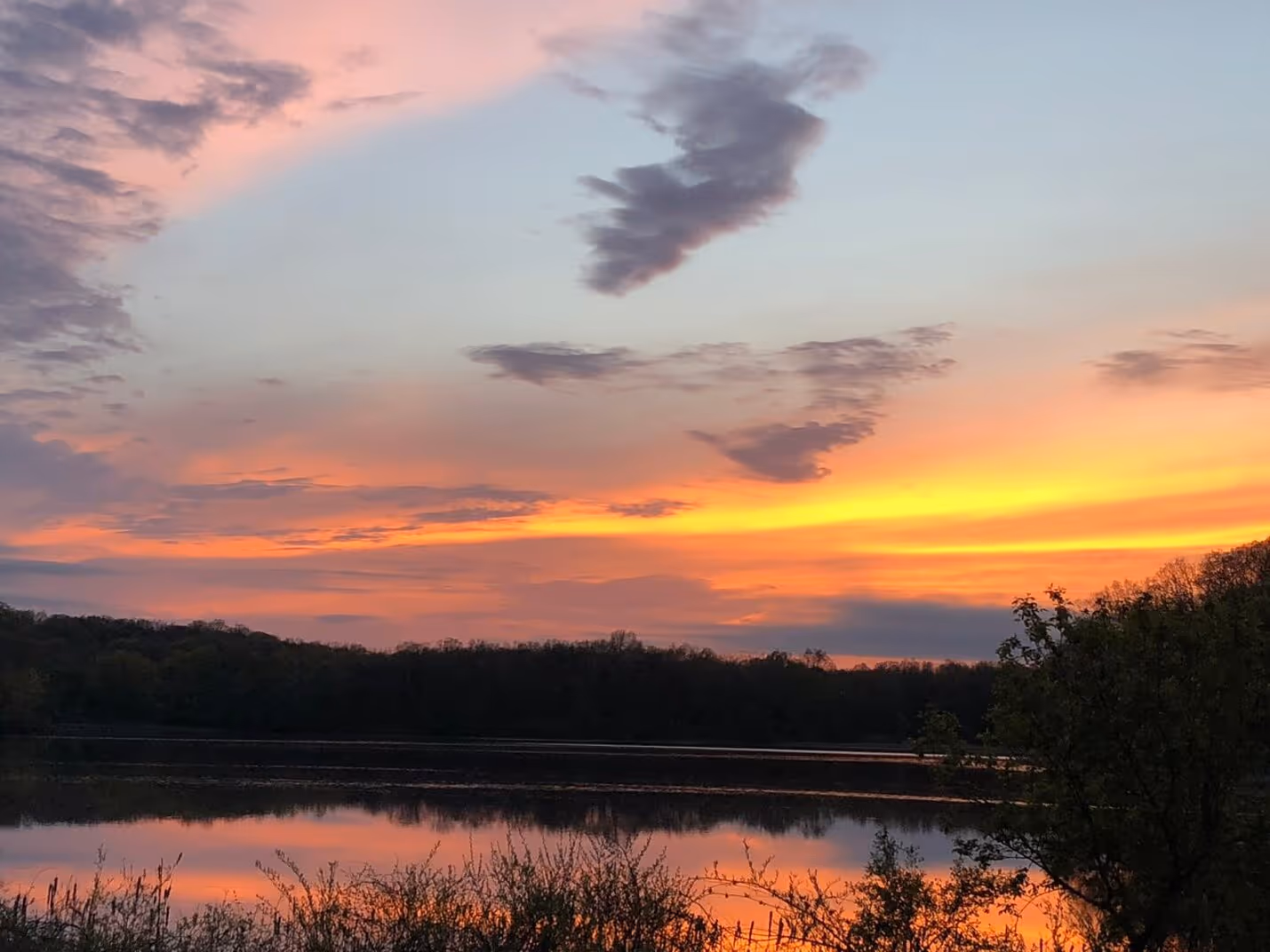 Milford MI