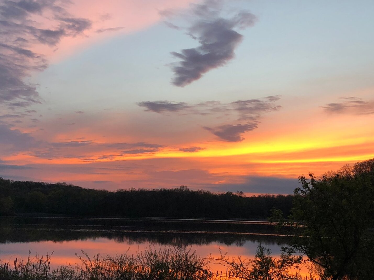 Milford MI