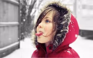 snow-lick