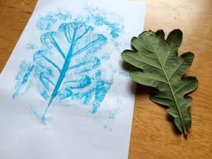 Leaf-Rubbings