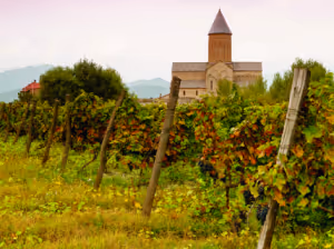 Screenshot 2016-03-21 12.52.08