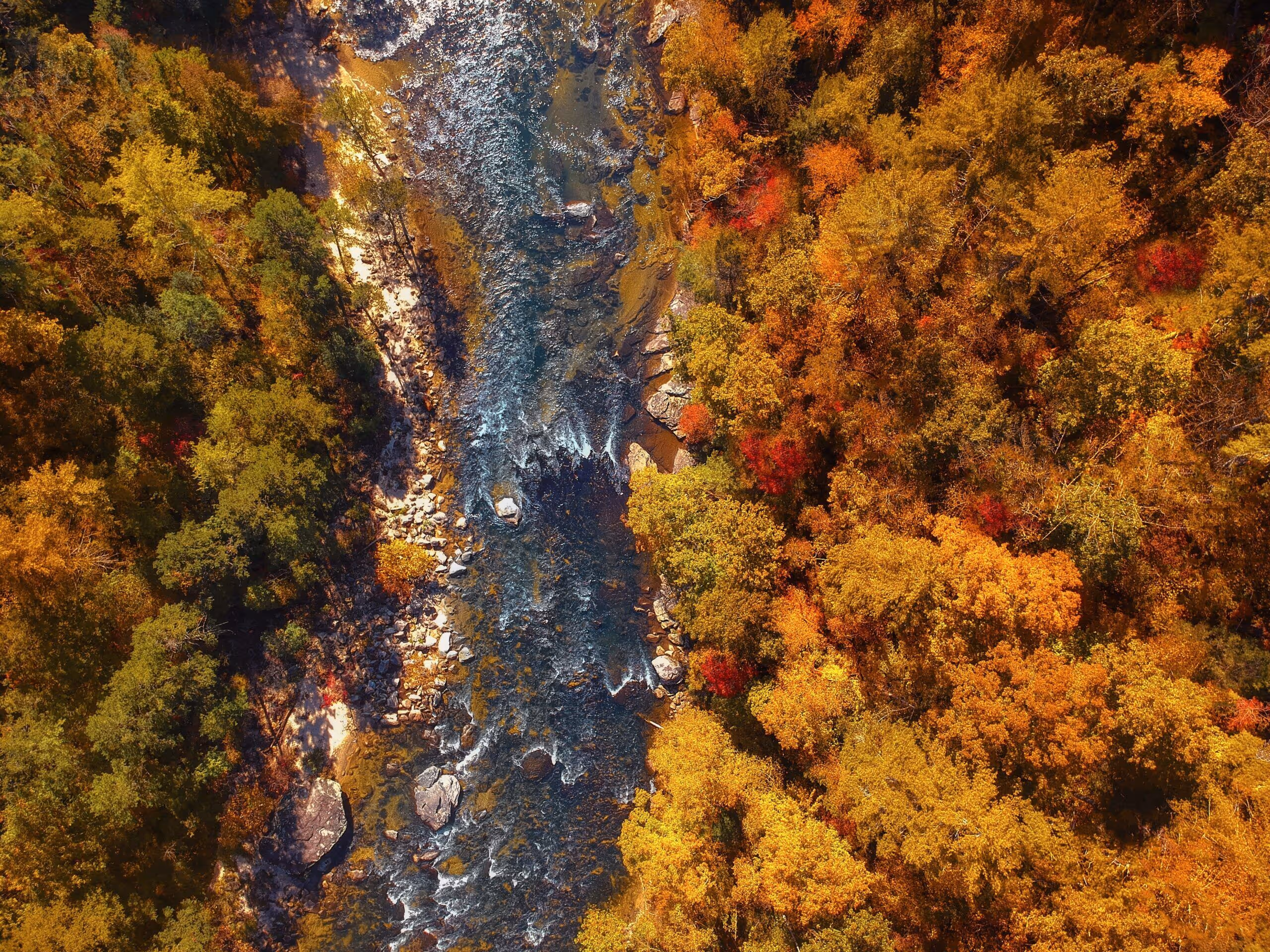 nanny job in south-east east-coast nationwide locations