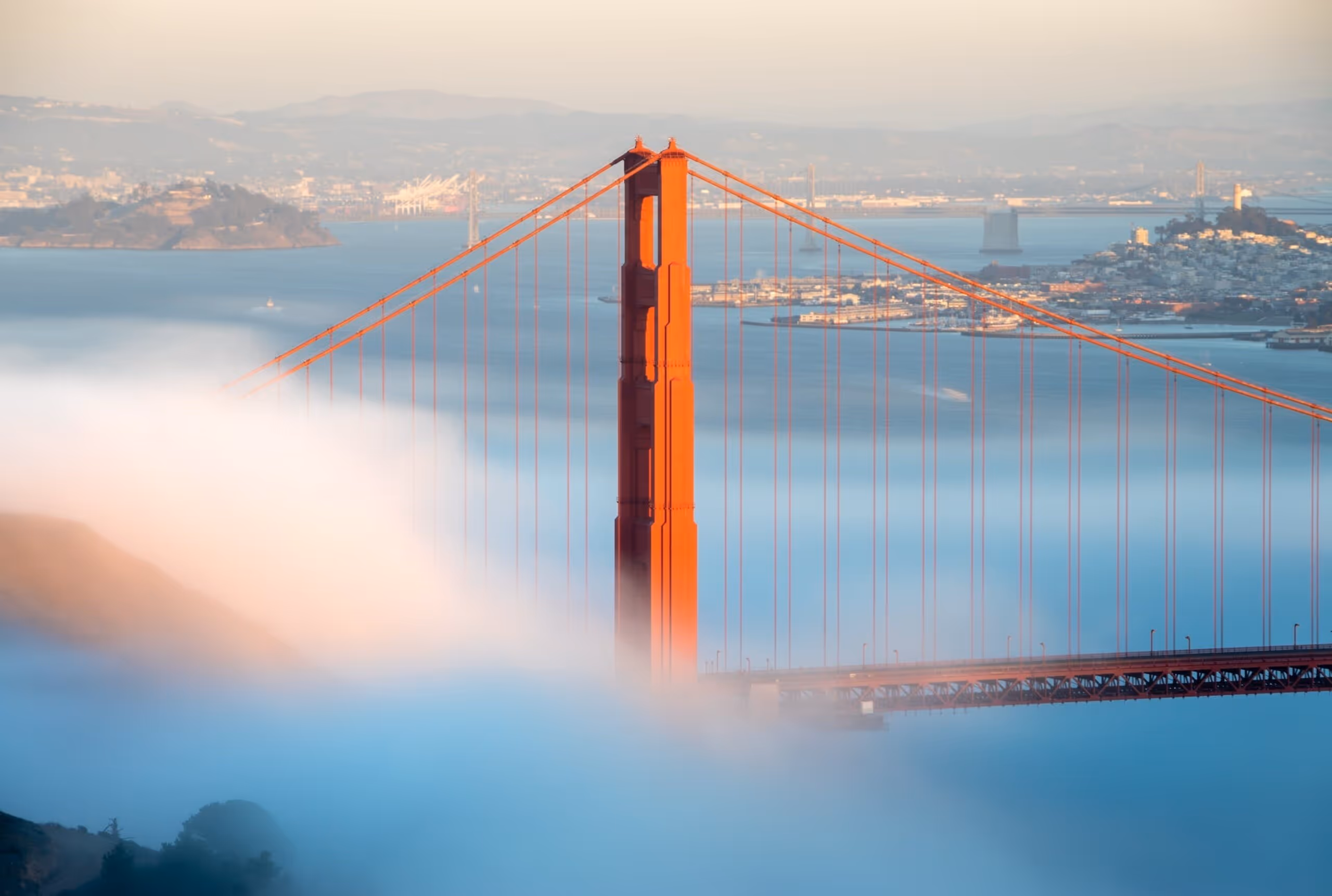 nanny job in west coast bay area California nationwide