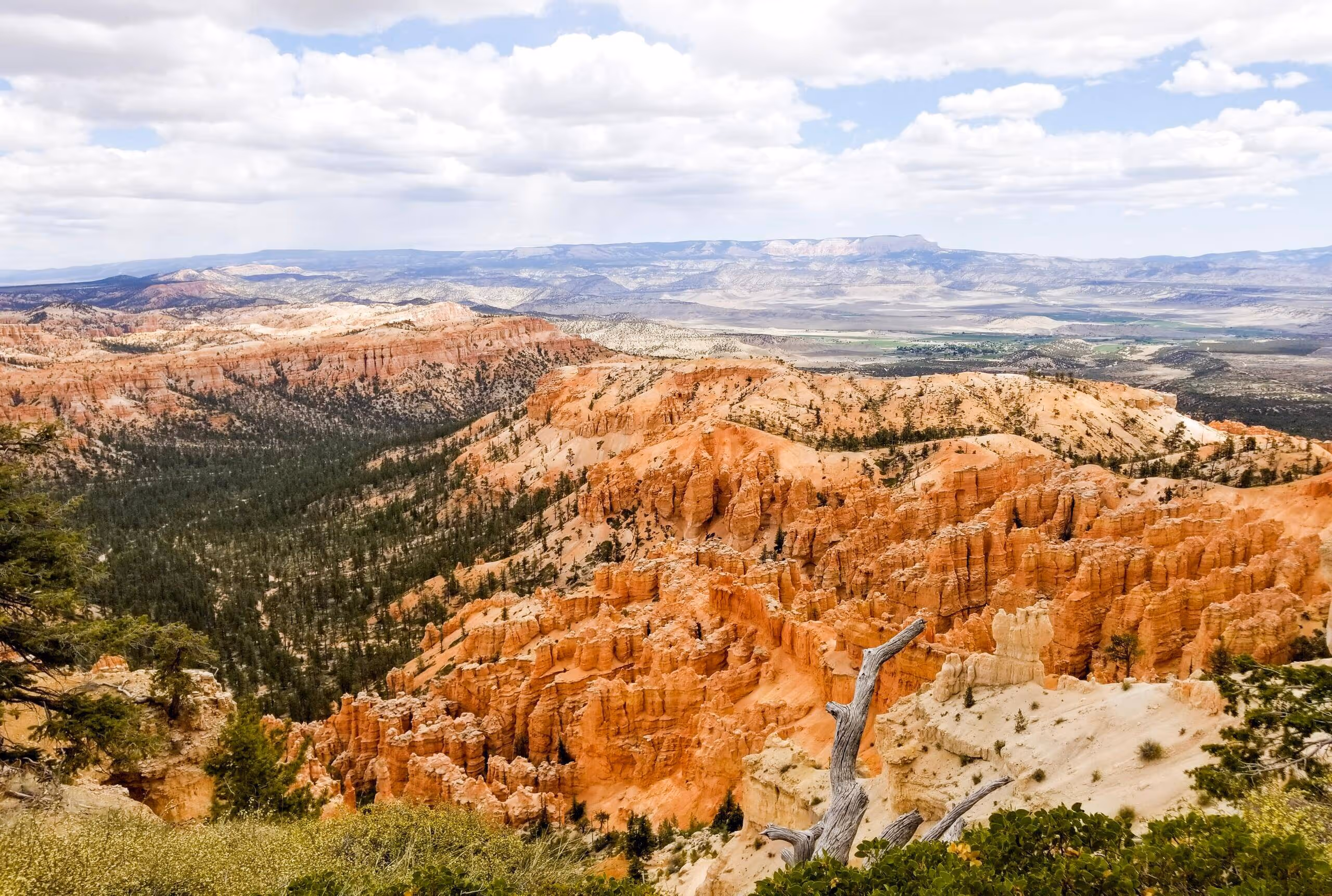 nanny job in Denver and nationwide locations