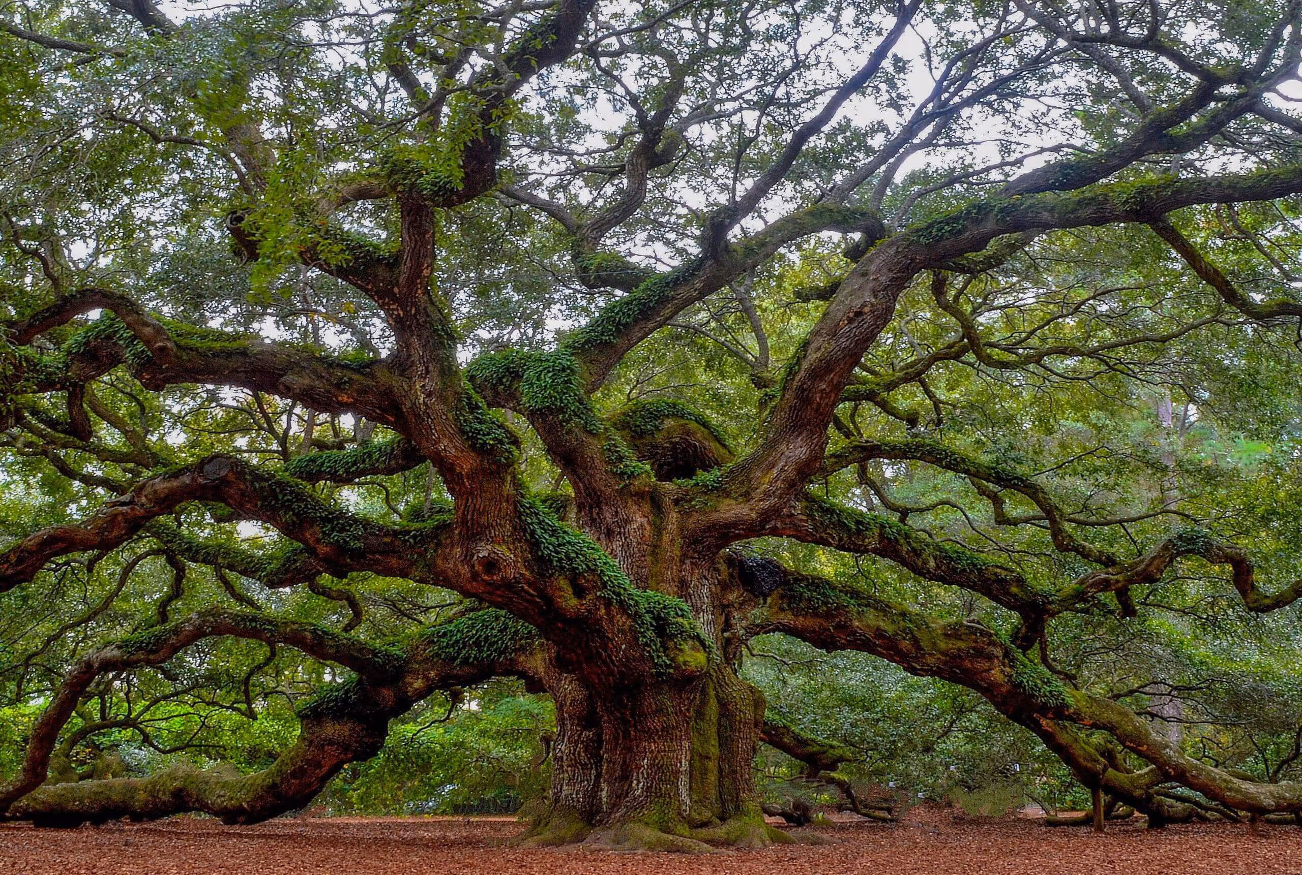 Nanny job in south-east England and nationwide locations