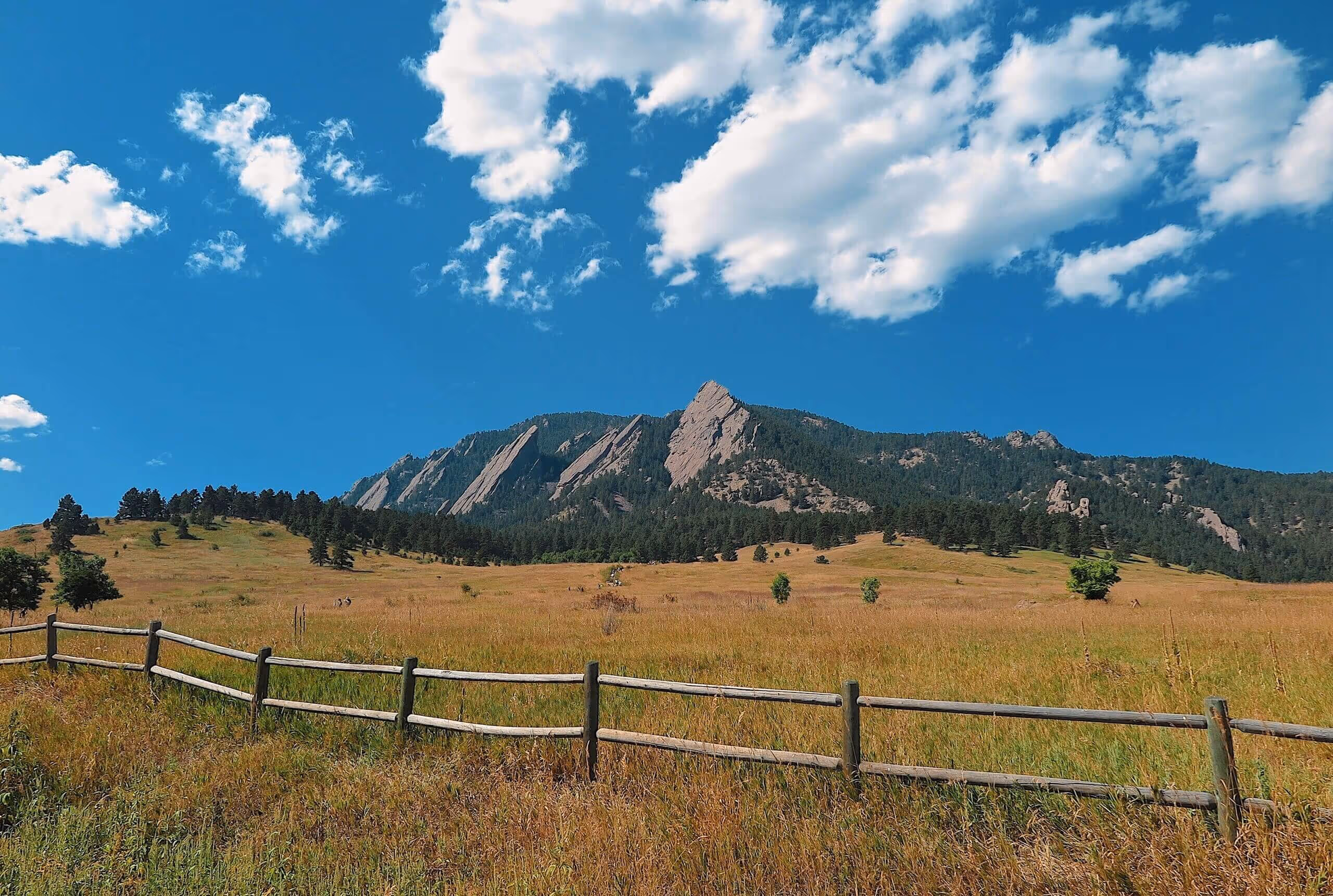 newborn care specialist in Denver Pacific Northwest and nationwide locations