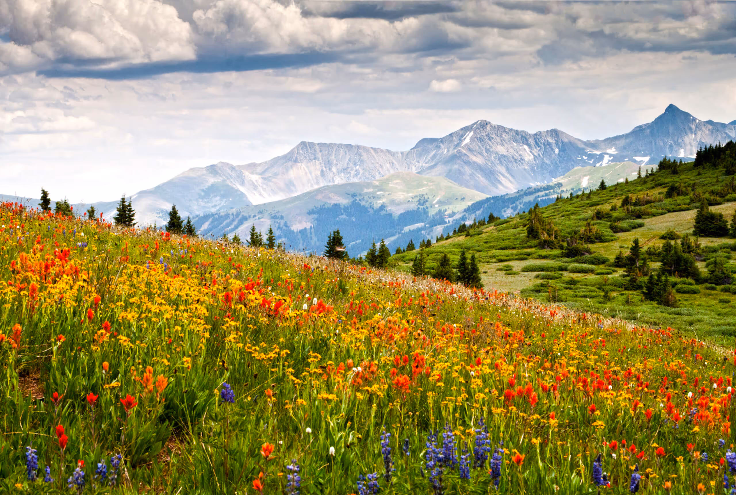 Denver nanny and household manager job location