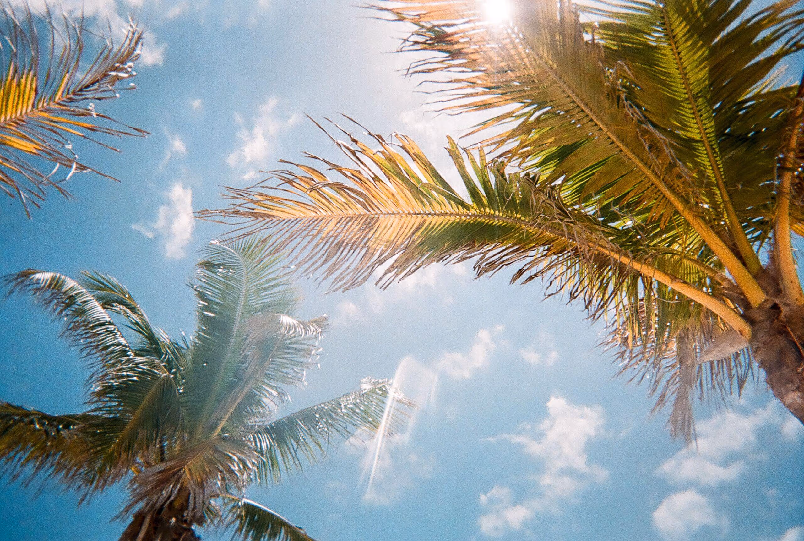 nanny and family assistant job south-east nationwide rota position