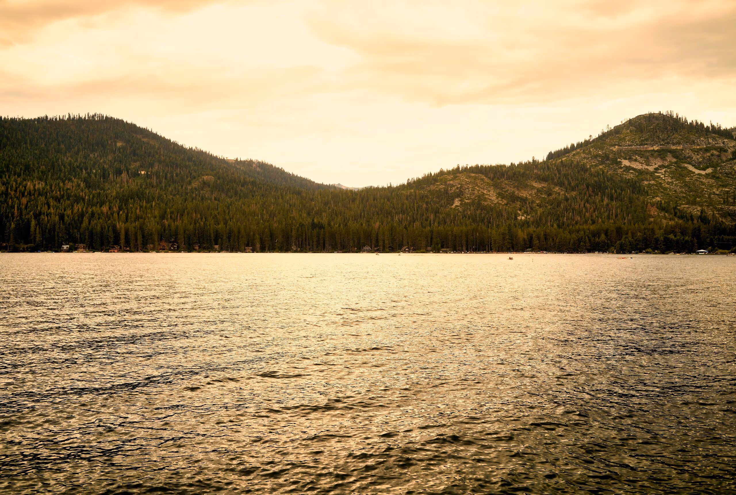 newborn care specialist in California Bay Area West Coast nationwide