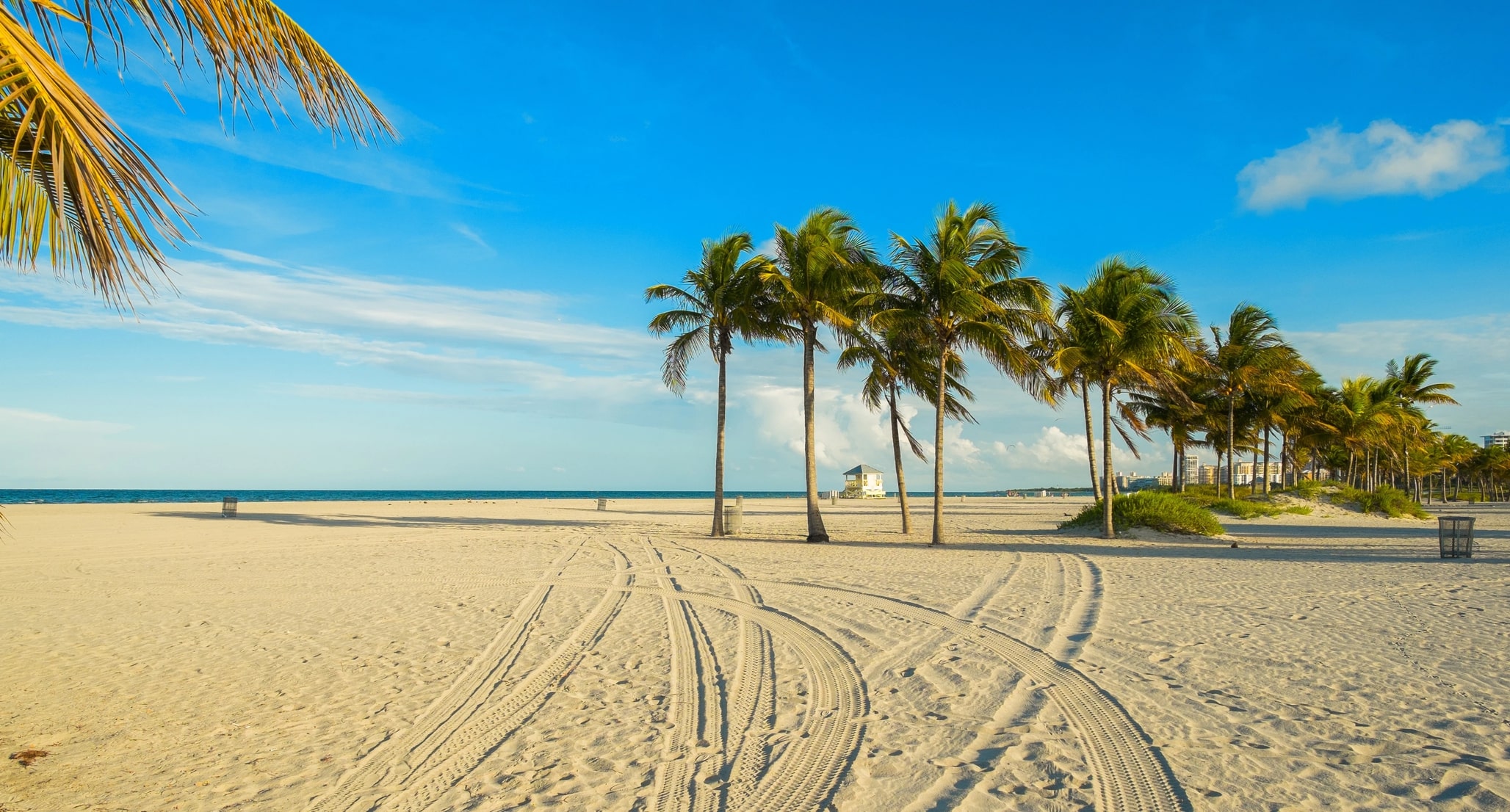 nanny job in Miami Bay Area California west coast east coast southeast nationwide