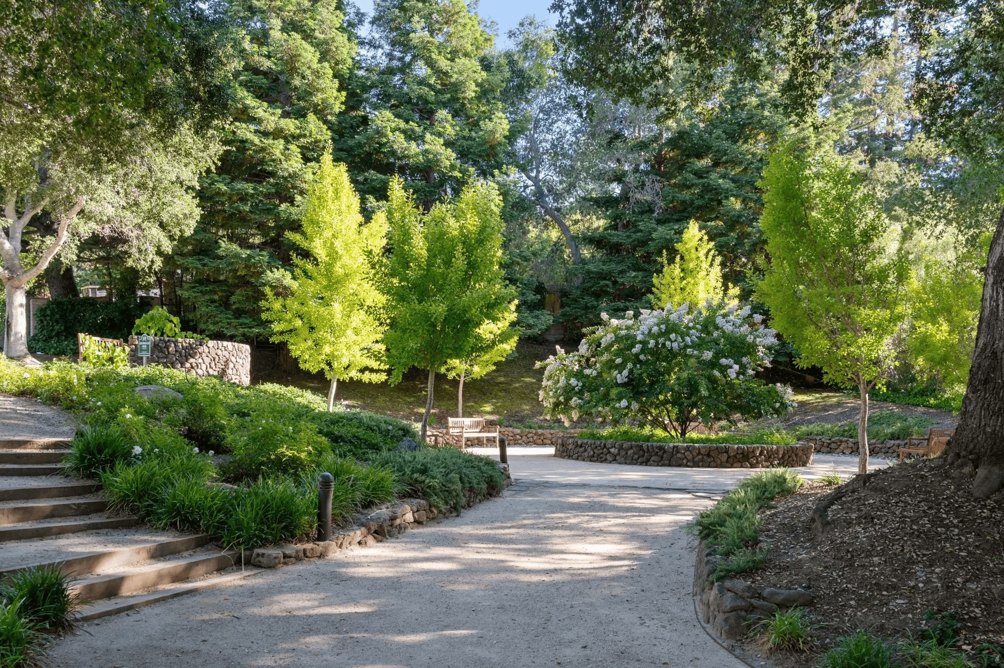 nanny and family assistant in Bay Area California west coast nationwide