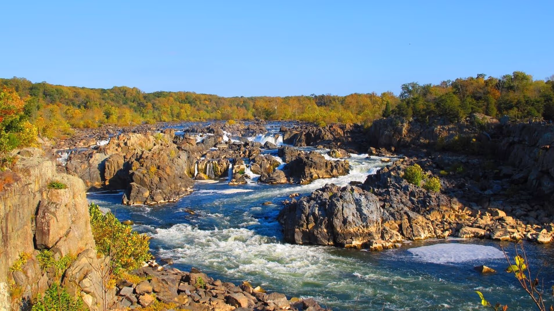 newborn care specialist in Washington DC east coast and nationwide locations