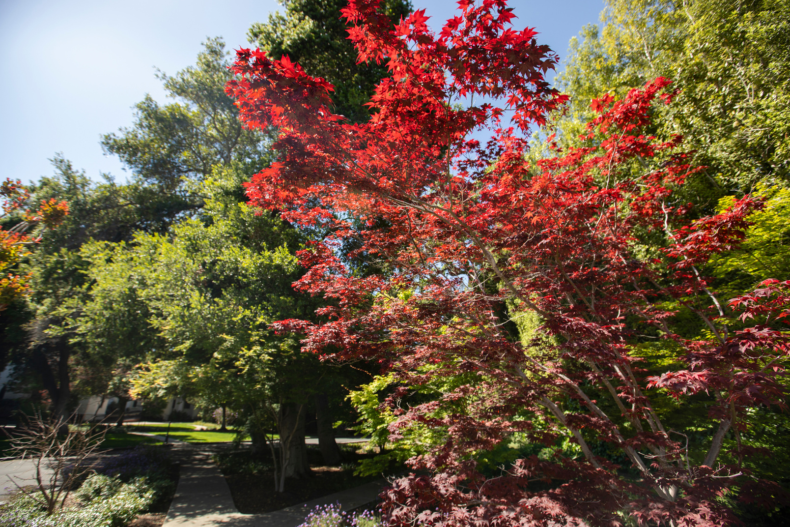 Atherton, CA | Proactive ROTA Nanny Wanted For Thoughtful Bay Area Family