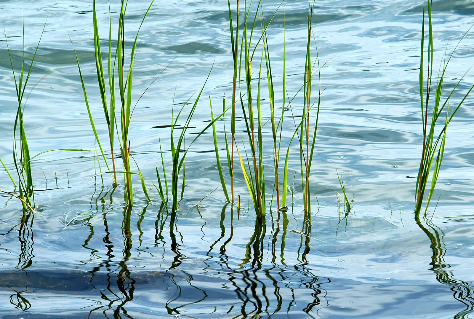 White Plains, NY | Perceptive Nanny / Family Assistant Wanted For Dynamic Family