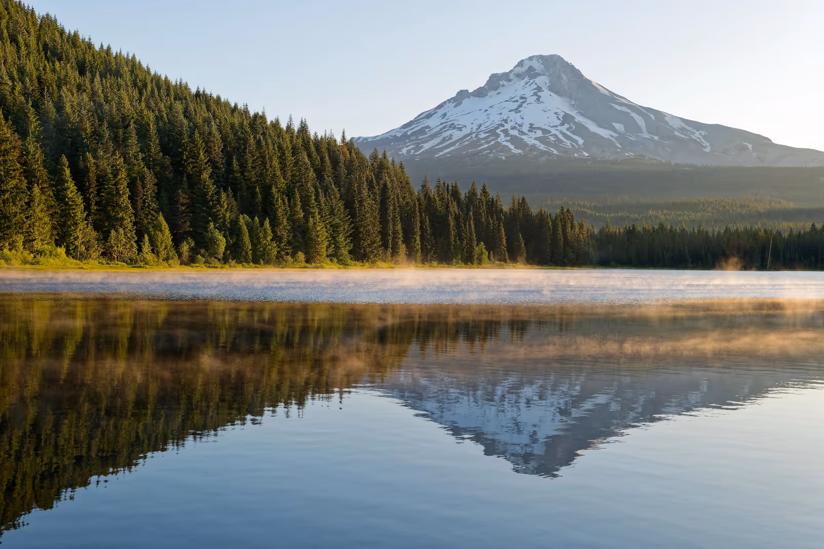 Portland, OR | Calm Professional ROTA Nanny Wanted For Devoted Family