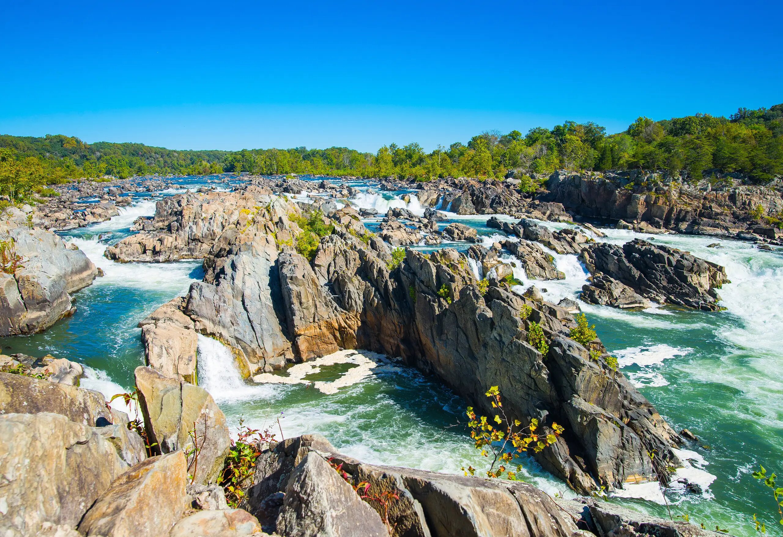 McLean, VA | Professional Nanny/Family Assistant Wanted For Loving D.C. Area Family